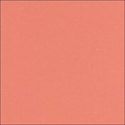 Gobis Aqueous Matt Finish - Natural Paprika 665