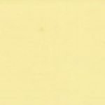 11yellownecklace-NP-YO-1104P