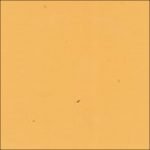 15namaqualand