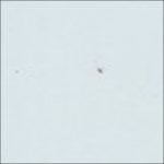 166blueessence-NP-OW-1067P