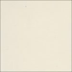 171daisywhite-NP-OW--1014P