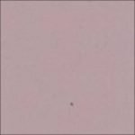 203moondust