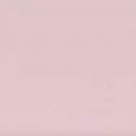 Rose Thought 6131 2P