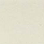 Daisy White OW13 1P