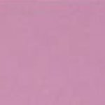 Marjory Phlox 5154T